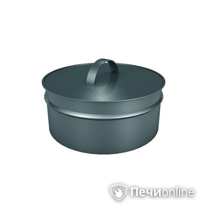 Заглушки Теплов и Сухов Заглушка ревизии Термо-Р 304 0.5 D300(200) в Клине