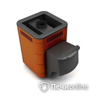 Дровяная банная печь TMF Оса Carbon терракота дверь антрацит в Клине