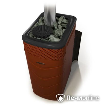 Дровяная банная печь TMF Гейзер XXL 2017 Inox Витра закрытая каменка терракота в Клине